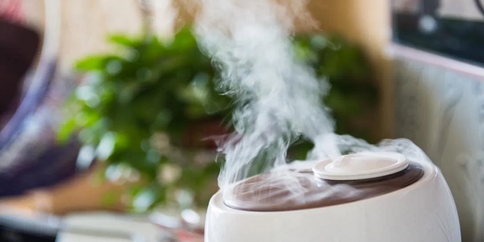 Everlasting Comfort Humidifier To Make Your Life Easier