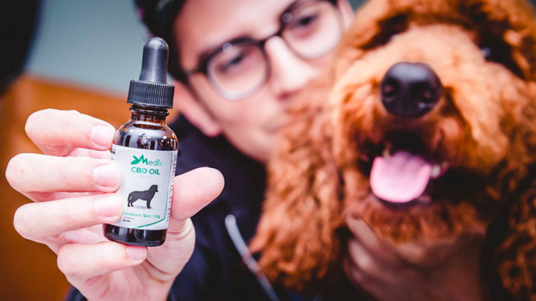 Is The Best Cbd Oil For Dogs Worth It?