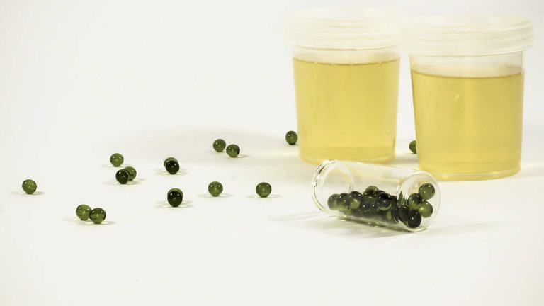 Synthetic Urine: A Solution for Your Health and Wellness